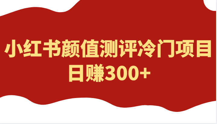 外面4980的项目，小红书颜值测评冷门项目，日赚300+-颜夕资源网-第14张图片