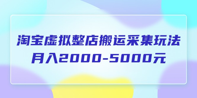 淘宝虚拟整店搬运采集玩法分享课：月入2000-5000元-颜夕资源网-第14张图片