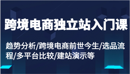 跨境电商独立站入门课：趋势分析/跨境电商前世今生/选品流程/多平台比较/建站演示等-颜夕资源网-第14张图片