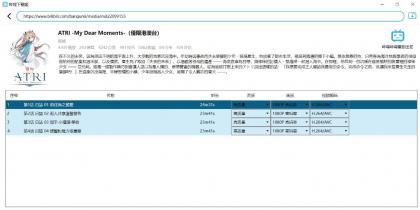 跨平台B站下载工具 DownKyiCore 1.0.11-颜夕资源网-第14张图片