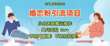 小红书婚恋粉引流，不用开直播！不用拍视频！不用做交付-颜夕资源网-第14张图片