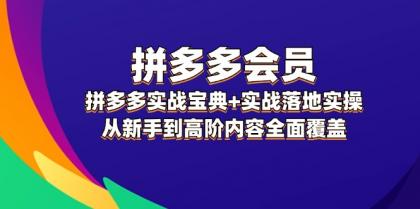 拼多多会员实战宝典+实战落地实操，从新手到高阶内容全面覆盖-颜夕资源网-第14张图片