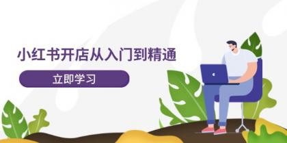 小红书开店从入门到精通，快速掌握小红书店铺运营，实现开店创收（202节）-颜夕资源网-第14张图片