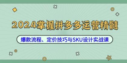 2024掌握拼多多运营精髓：爆款流程、定价技巧与SKU设计实战课-颜夕资源网-第13张图片