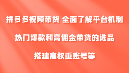 拼多多视频带货 全面了解平台机制、热门爆款和高佣金带货的选品，搭建高权重账号等-颜夕资源网-第14张图片