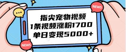 指尖宠物视频，1条视频涨粉1700，单日变现5000+-颜夕资源网-第14张图片