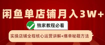 闲鱼单店铺月入3W+实操展示，爆单核心秘籍，一学就会-颜夕资源网-第13张图片