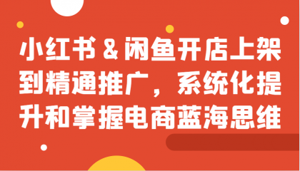 小红书&amp;闲鱼开店上架到精通推广，系统化提升和掌握电商蓝海思维