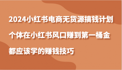 小红书电商无货源搞钱计划，个体在小红书风口赚到第一桶金应该学的赚钱技巧-颜夕资源网-第12张图片