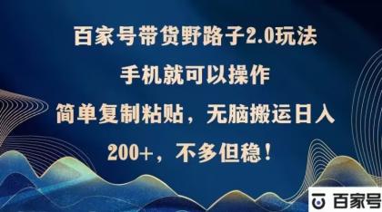 百家号带货野路子2.0玩法，手机就可以操作，简单复制粘贴，无脑搬运-颜夕资源网-第13张图片